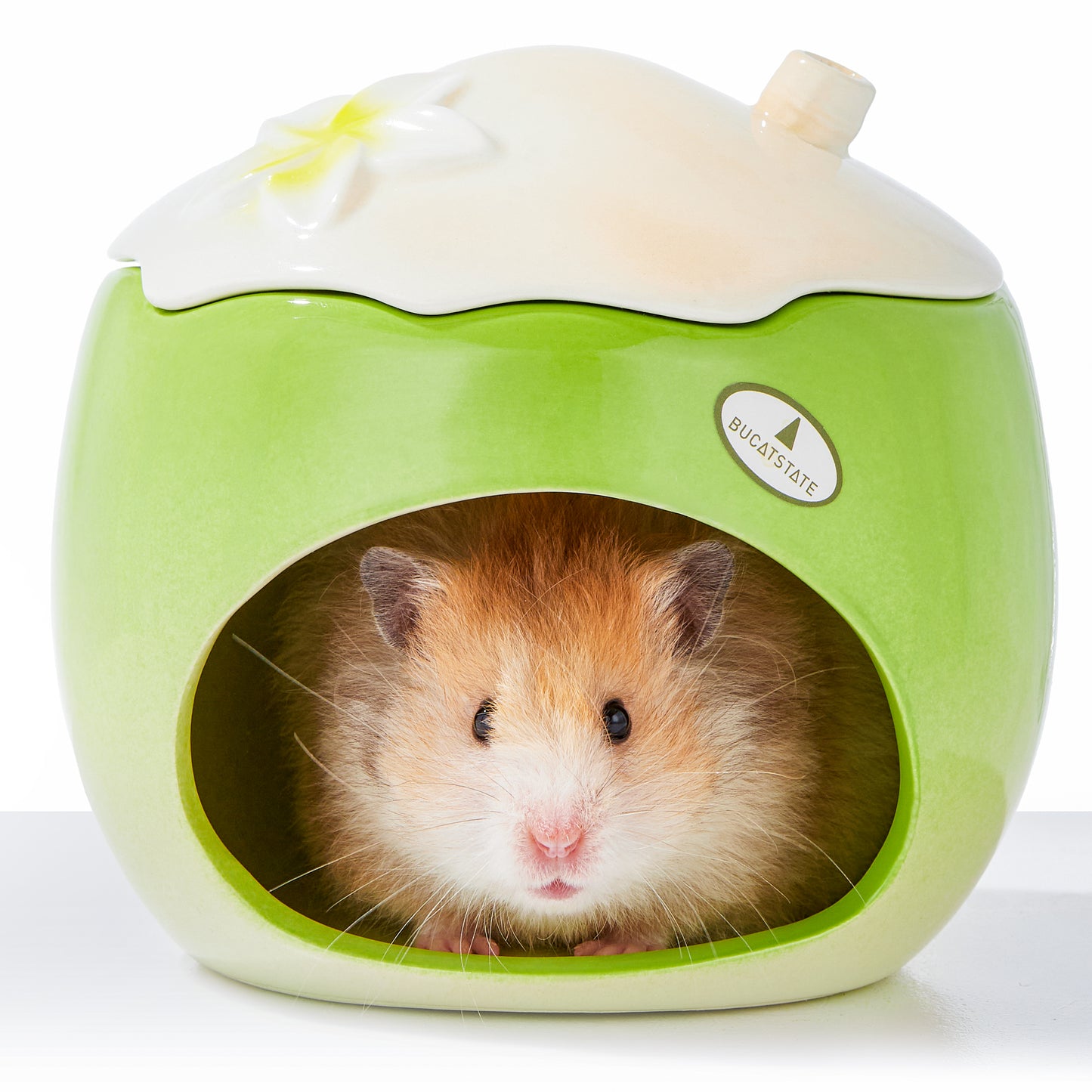 BUCATSTATE Ceramic Hamster Hideout  All-Season Used Cute Fruit Design