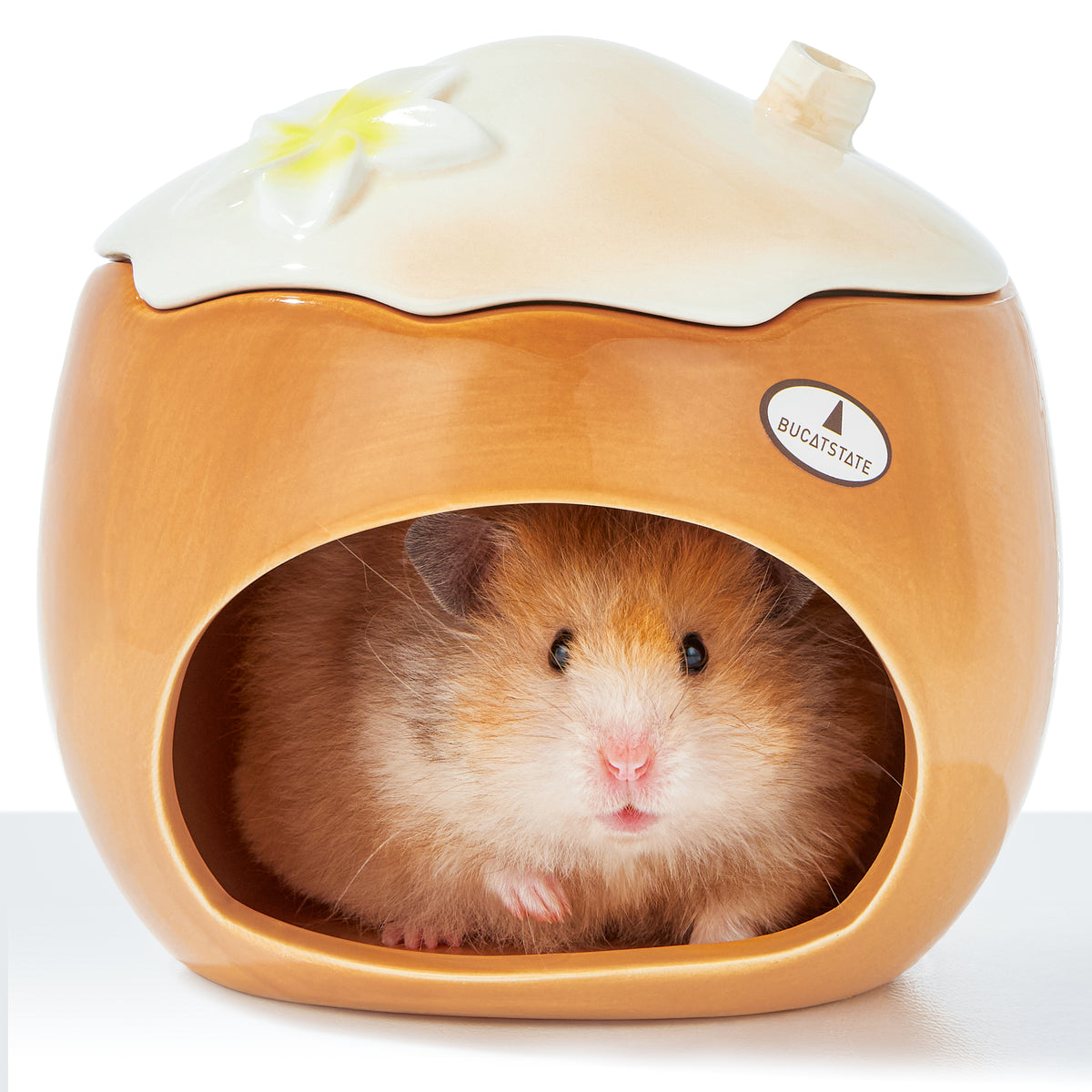 BUCATSTATE Ceramic Hamster Hideout  All-Season Used Cute Fruit Design