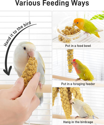 BUCATSTATE 2.2lbs Millet for Birds, Sun-Dried Parakeet Food for Parrot, Budgie, Cockatiel, Finches, Lovebird, GMO-Free Parakeet Treats (2.2lbs)
